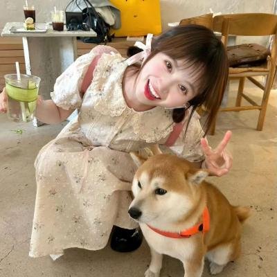 高飞